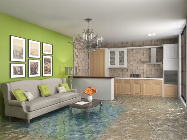 Wet Carpet Drying in Olive Branch