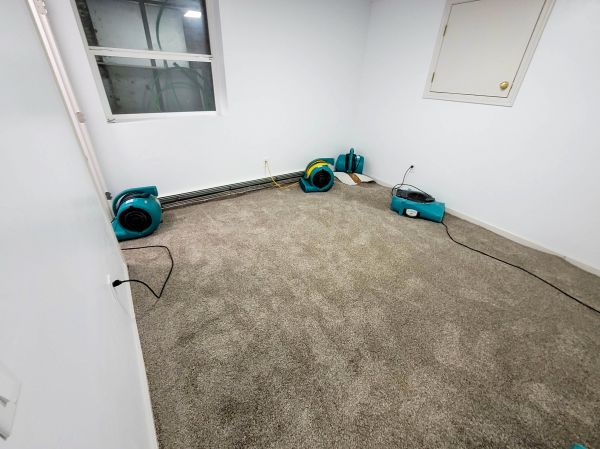 Flood Restoration Service in Olive Branch