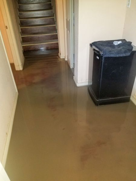 Emergency Water Removal in Olive Branch