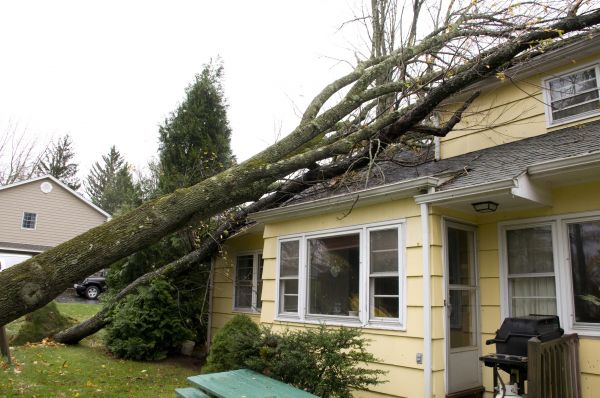 Hurricane Damage Repair in Olive Branch