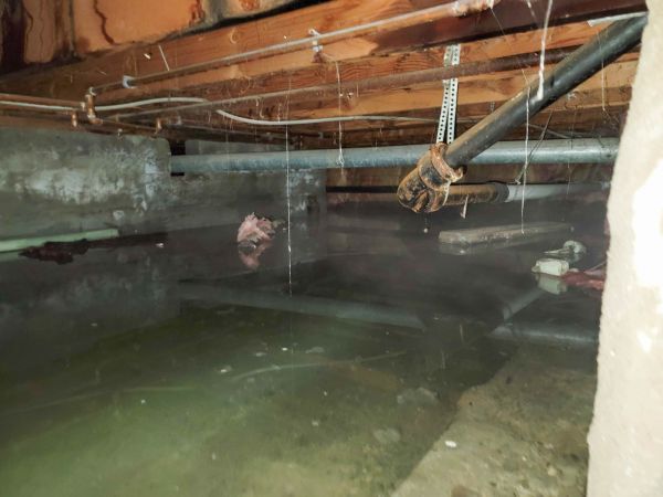 Crawlspace Water Restoration in Olive Branch